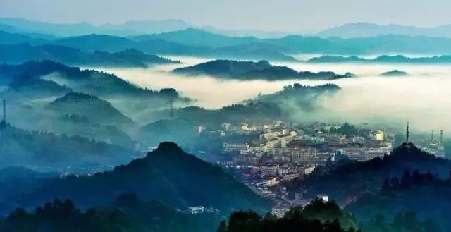 天气零下30多度，聪明流浪猫到消防局敲门求收留，顺利度过寒冬
