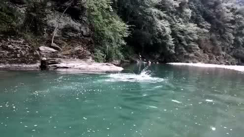 滚动的奶酪选关版